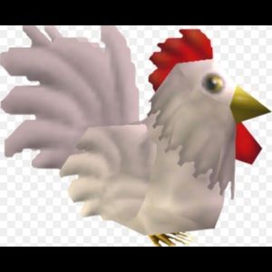 Meet your Posher, Kailey